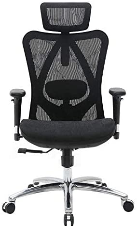 SIHOO Ergonomic Office Chair Mesh Desk Chair with